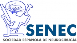 SOCIEDAD ESPAÑOLA DE NEUROCIRUGÍA (SENEC)